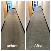 Wizard Carpet Cleaning image 4